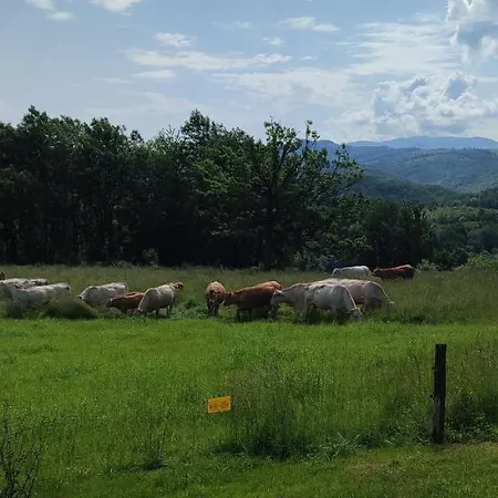 Domaine Le Lanis 