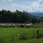 Domaine Le Lanis 
