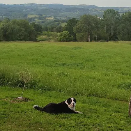 Domaine Le Lanis De Pauline Chalet *