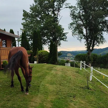 Domaine Le Lanis De Pauline Chalet Saint-Girons (Ariege)