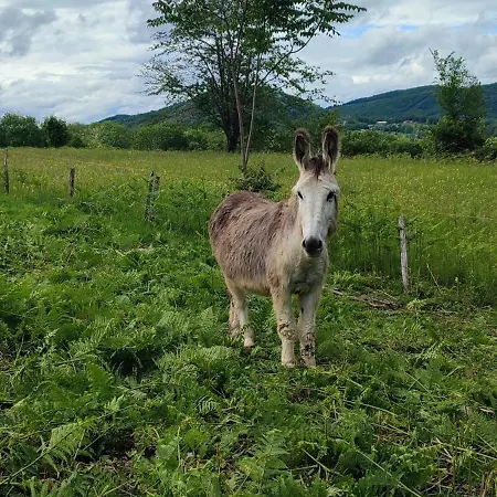 Chalet Domaine Le Lanis De Pauline Saint-Girons (Ariege)
