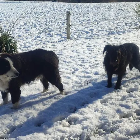 Chalet Domaine Le Lanis De Pauline *