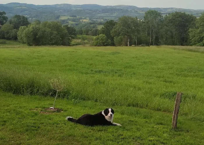 Domaine Le Lanis De Pauline Chalet *