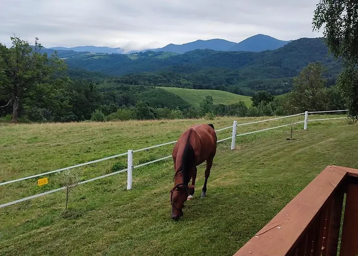 Domaine Le Lanis De Pauline Saint-Girons (Ariege)