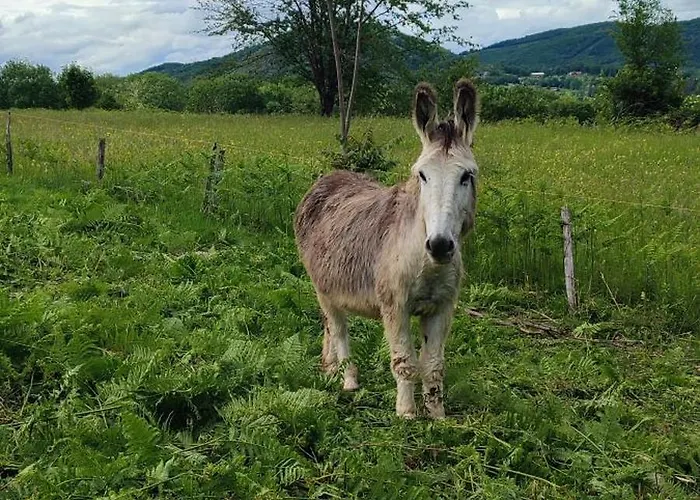 Horská chata Domaine Le Lanis 
