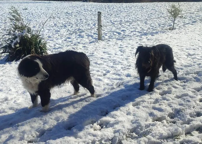 Horská chata Domaine Le Lanis 